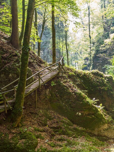 A wooden walkway leads through the green Kesselfallklamm with sunlit trees. | © Region Graz - Harry Schiffer