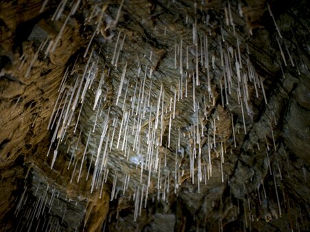 Vista dei stalattiti nella Lurgrotte Peggau. | © Region Graz - Tom Lamm