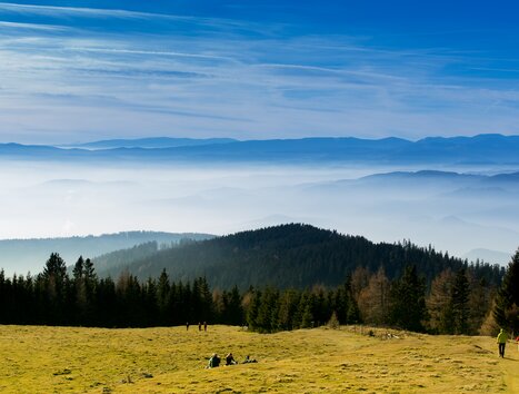 Weite Landschaft mit Bäumen und Hügeln, Blick aufs Gebirge. | © Region Graz - Harry Schiffer