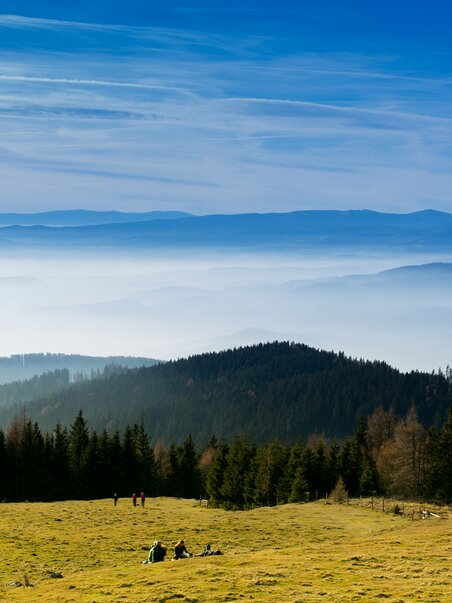 Ampio paesaggio con alberi e colline, affacciato sulle montagne. | © Region Graz - Harry Schiffer