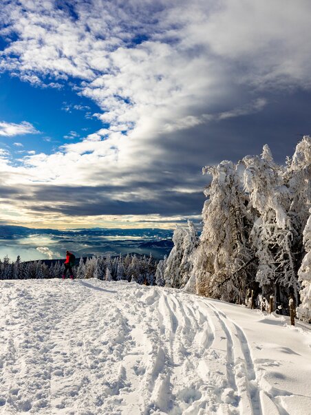 Paesaggio invernale sul monte Schöckl vicino a Graz, coperto di neve e immerso nella quiete della natura stiriana. | © Region Graz - Harry Schiffer