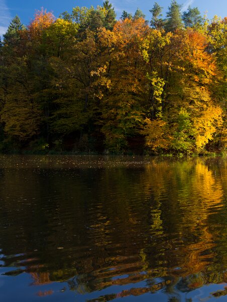 Reflektierende Herbstbäume in einem ruhigen Gewässer. | © Region Graz - Harry Schiffer
