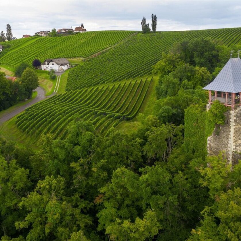 Klöch Wine Trail - Impression #1 | © Steiermark Tourismus - pixelmaker