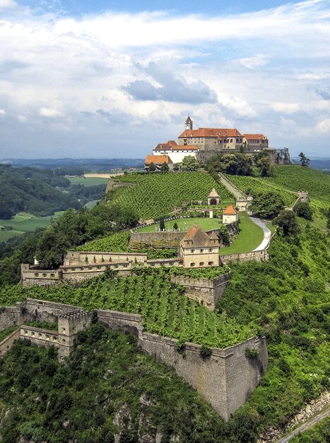 Blick auf die Riegersburg, umgeben von Weinbergen. | © Steiermark Tourismus - Harald Eisenberger