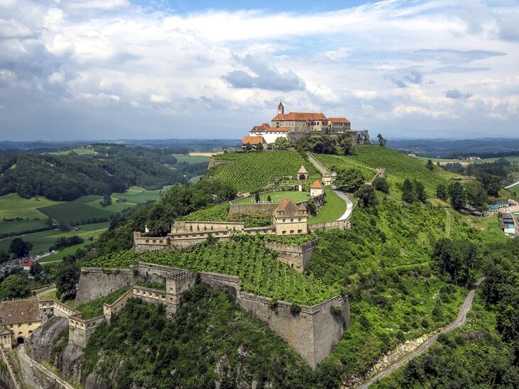 Blick auf die Riegersburg, umgeben von Weinbergen. | © Steiermark Tourismus - Harald Eisenberger