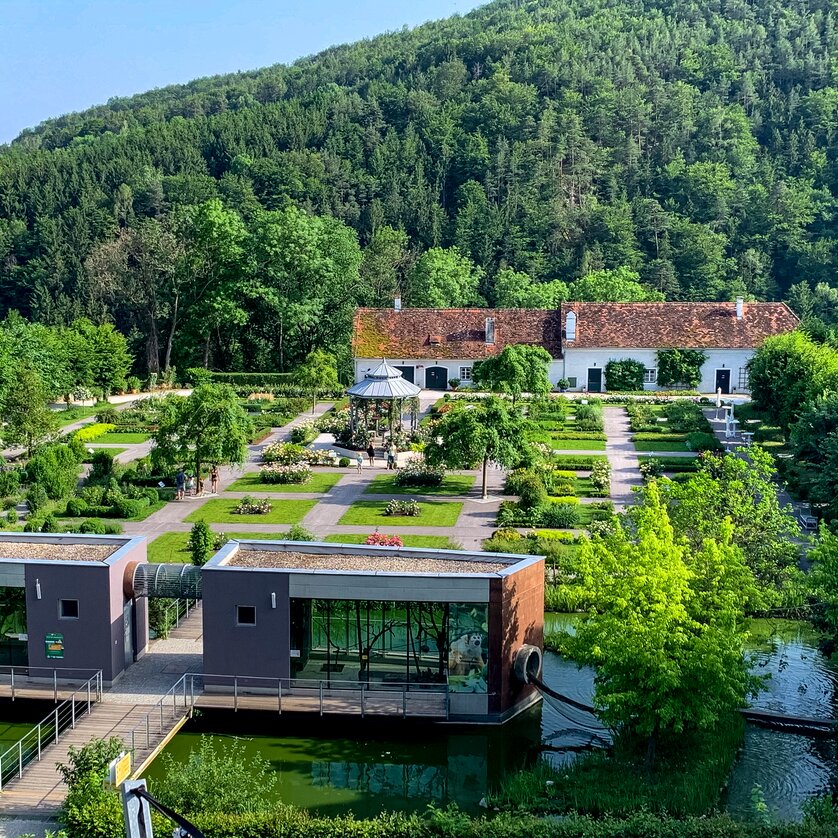 Tierwelt und Schloss Herberstein | © Steiermark Tourismus - Klein Tierwelt und Schloss Herberstein | © Steiermark Tourismus - Klein
