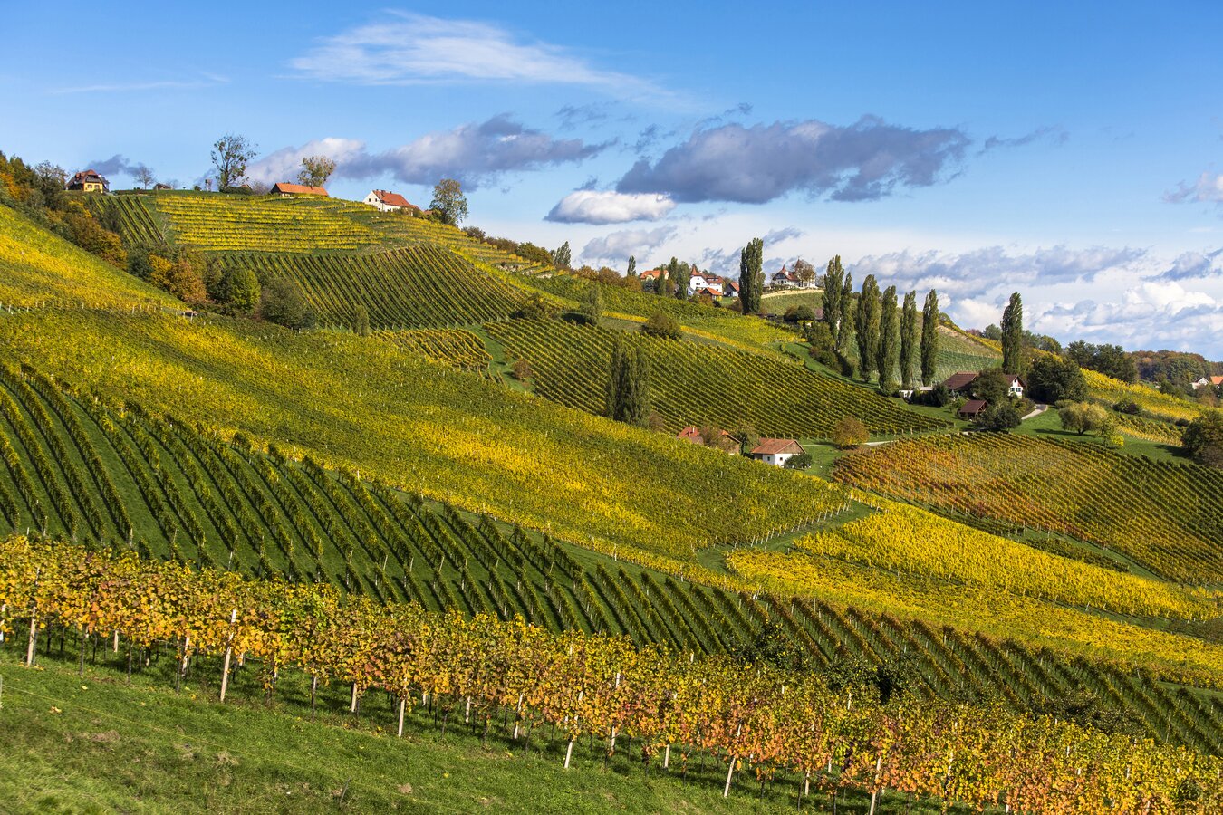 Sudsteirische Weinstrasse Karte