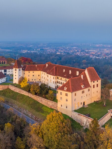 Vista aerea del Castello di Seggau, circondato da foreste e con vista su Leibnitz | © Janez Kotar