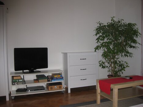 Gemütlicher Wohnraum mit Fernseher und Pflanzen. | © Appartement St. Leonhard