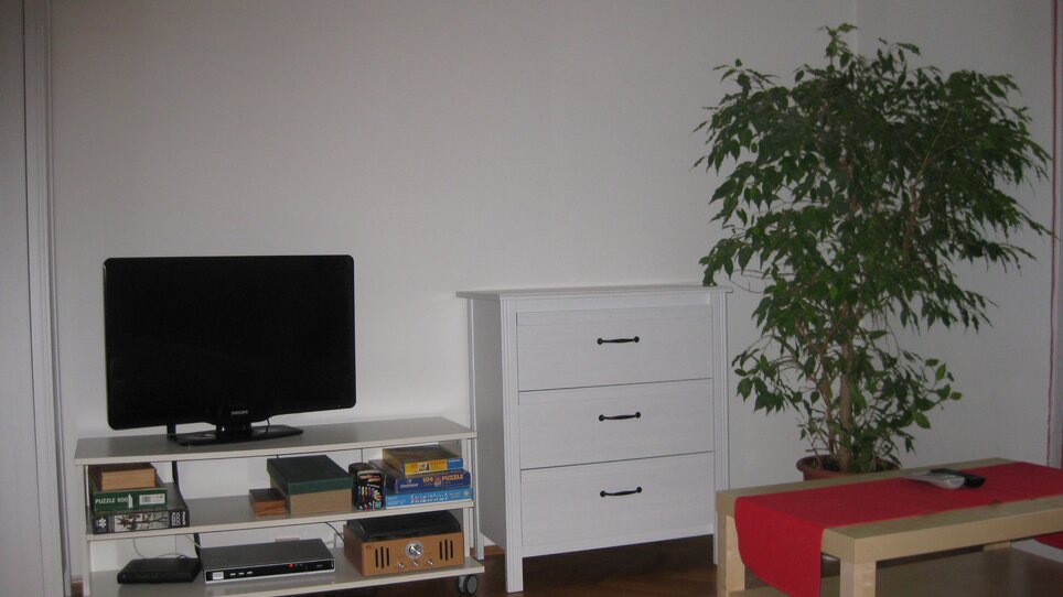 Gemütlicher Wohnraum mit Fernseher und Pflanzen. | © Appartement St. Leonhard
