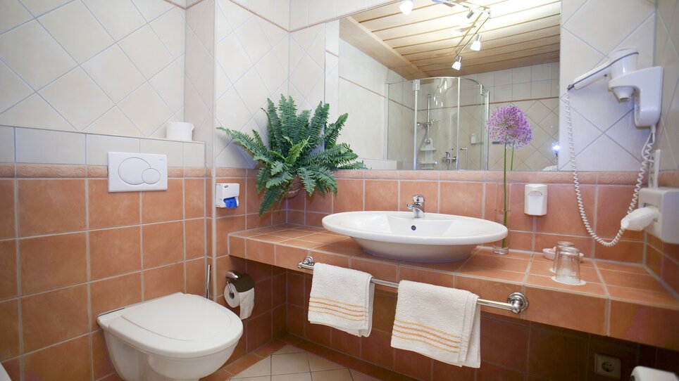 Bagno con lavabo, WC e doccia presso Haus Anna. | © Haus Anna – Apartments im Garten