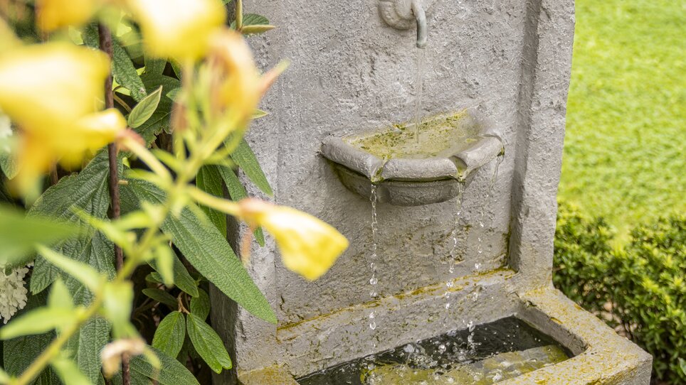 Una fontana da giardino decorativa circondata da piante. | © Haus Anna – Apartments im Garten