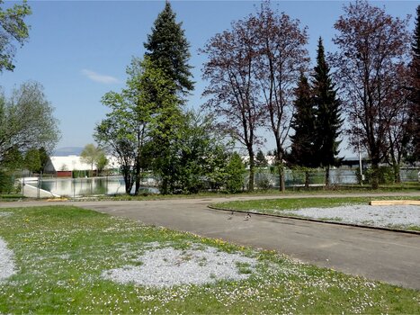 Blick auf den Reisemobil-Stellplatz Graz mit Bäumen und Wasser. | © Alfred Chyba