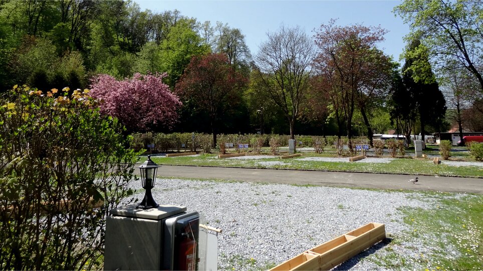 Caravan Park Graz with trees and flowers in spring. | © Alfred Chyba