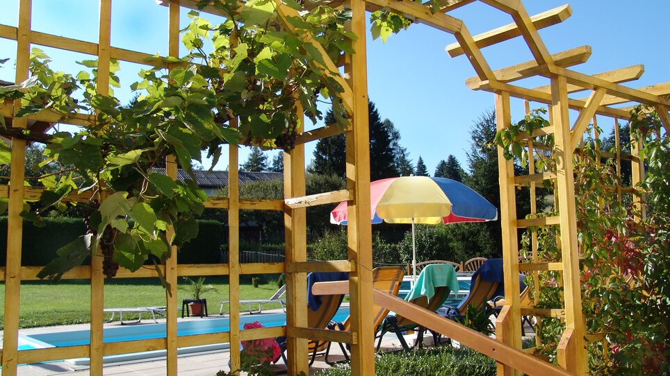 Blick durch eine Pergola auf einen Pool und Liegen im Garten der Pension Scherwirt. | © Scherwirt