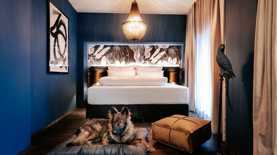 Favourite Room | © Aiola Living