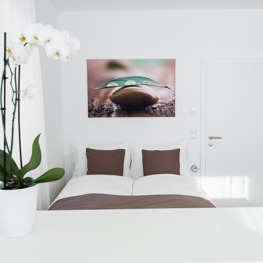 sHome Hotel | © sHome Hotel sHome Hotel | © sHome Hotel