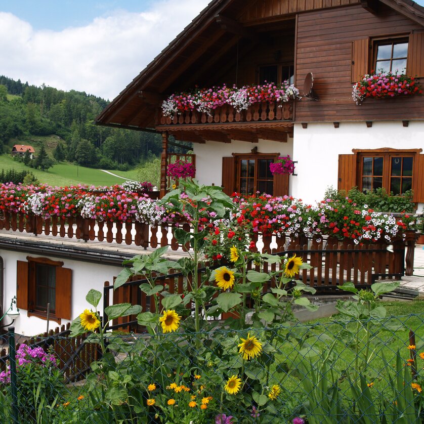 Holiday apartment Prietl | © Prietl Holiday apartment Prietl | © Prietl